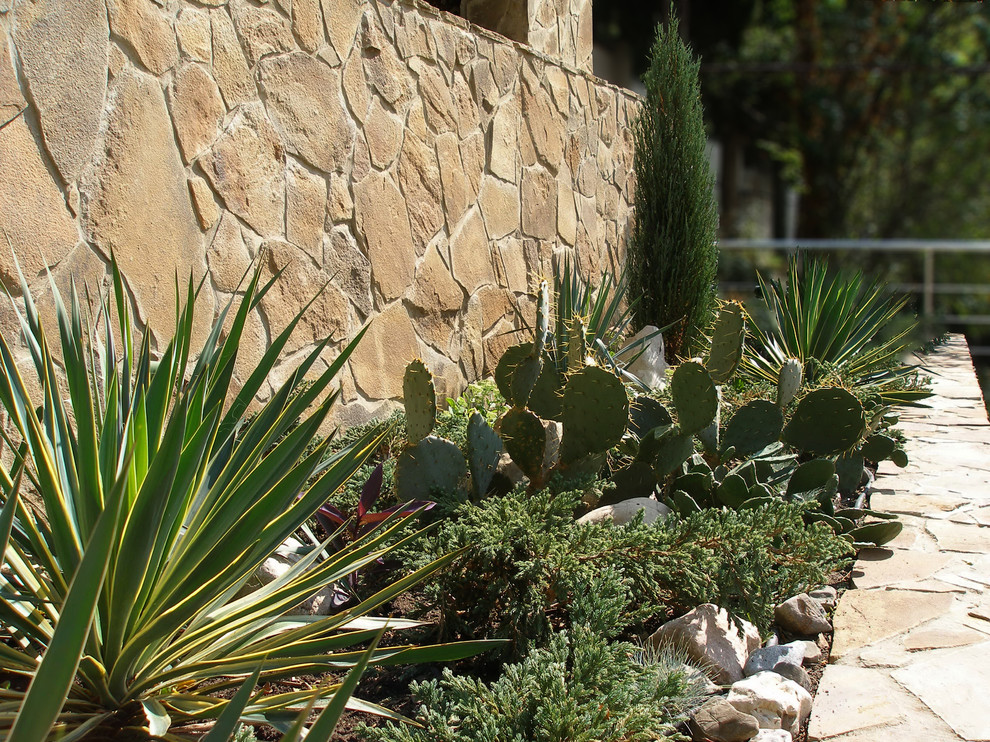 Обложка проекта: the Sun of Crimea