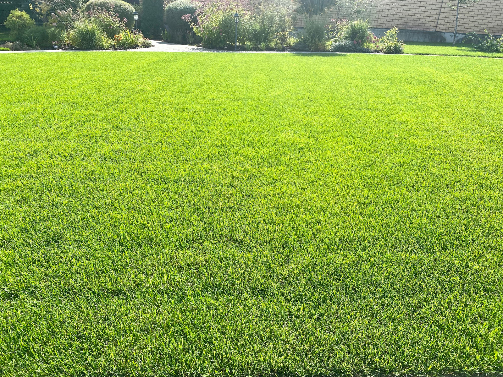 Обложка проекта: Ландшафтный дизайн