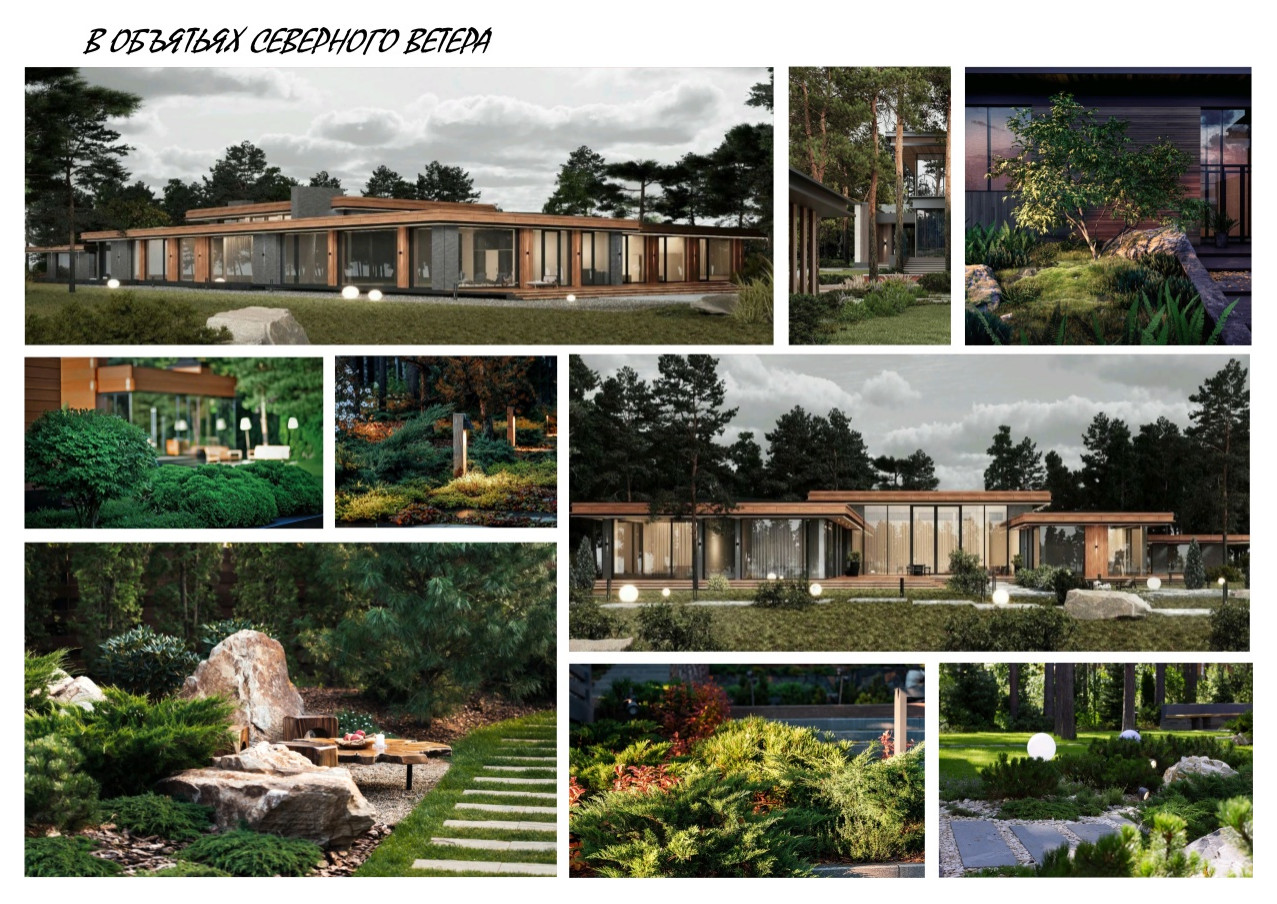 В ОБЪЯТЬЯХ СЕВЕРНОГО ВЕТРА