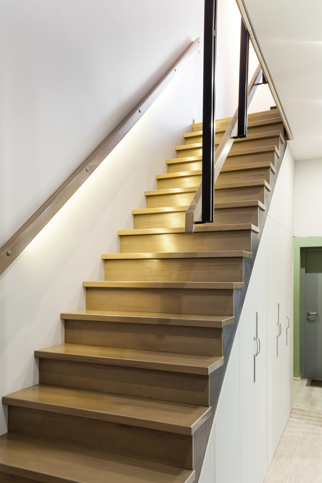 Елена Паршина