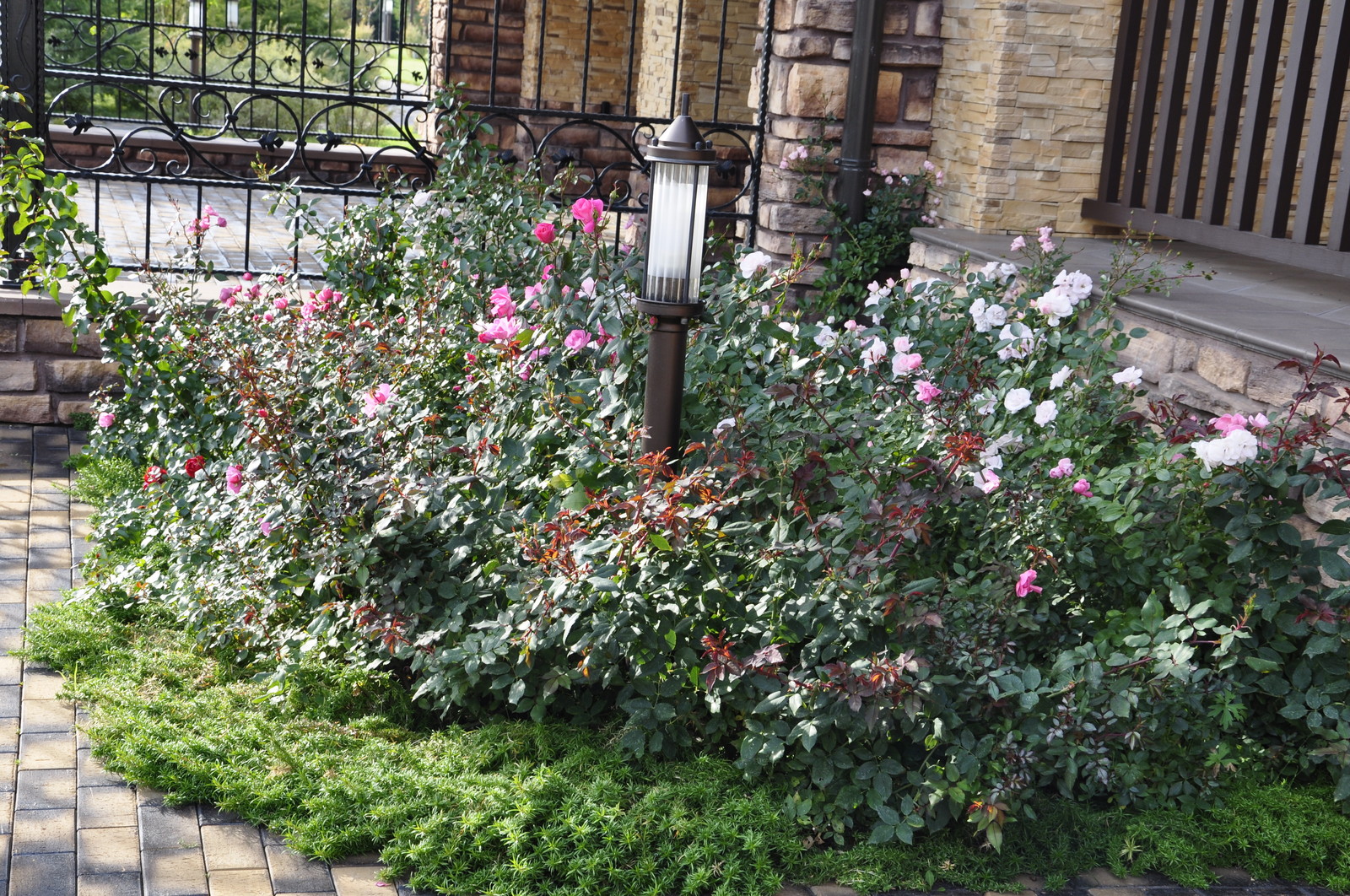 кп "Папушево" - Профессиональный уход за садом - 100% качество!