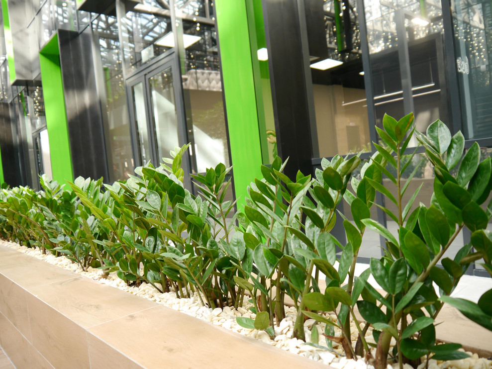 Яна Сеничева