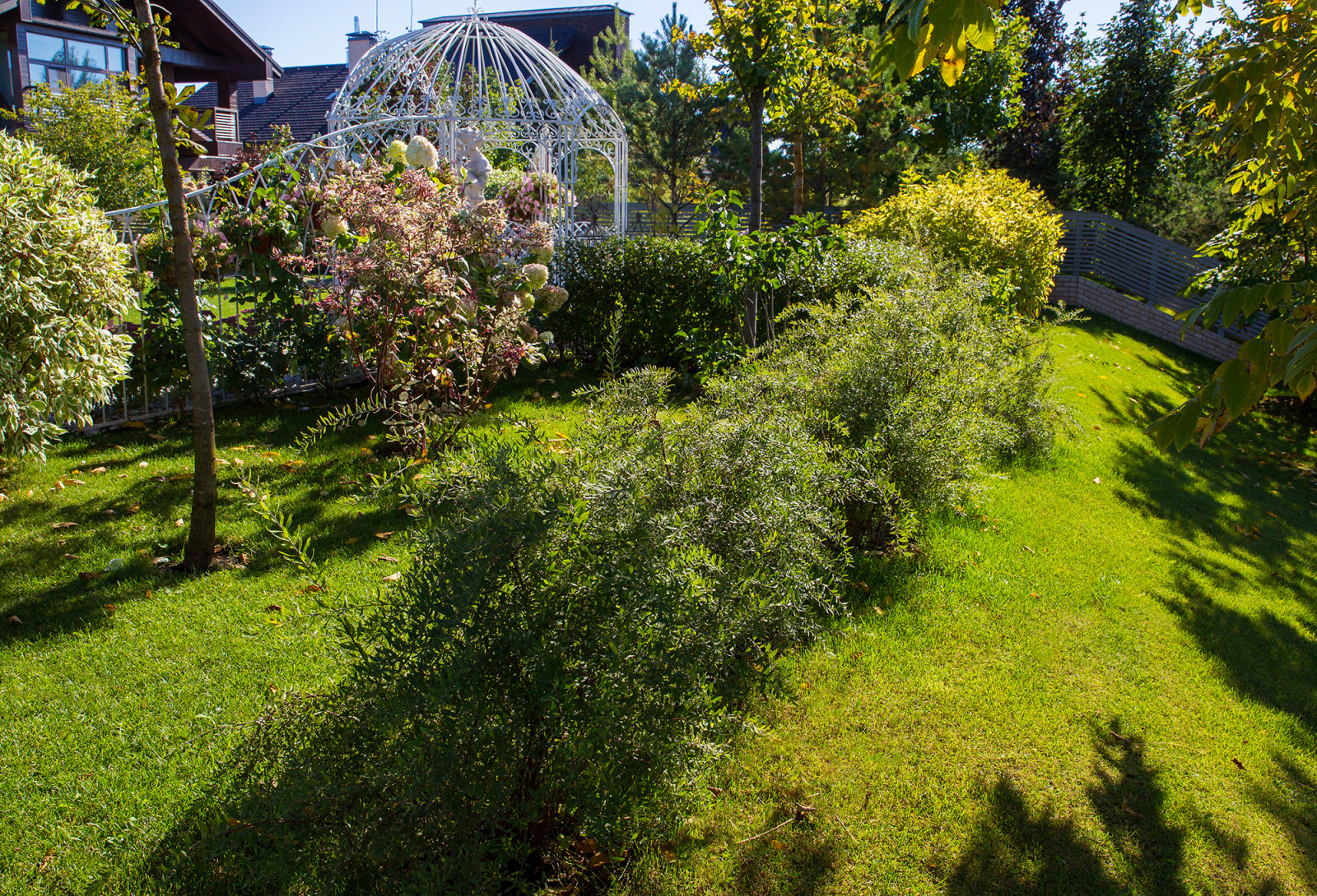 Сад на Пятницком шоссе.  Дизайнер Лариса Юрова