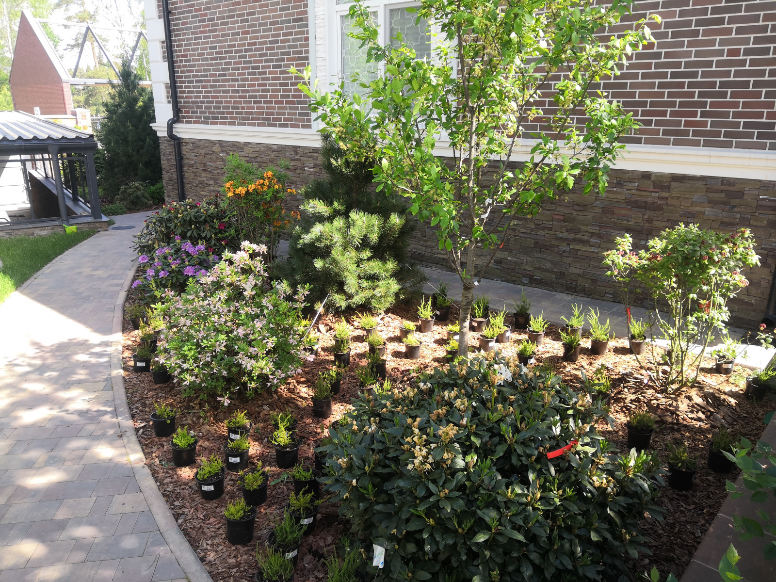 Landscape design of the territory (Moscow region, Sareevo village)