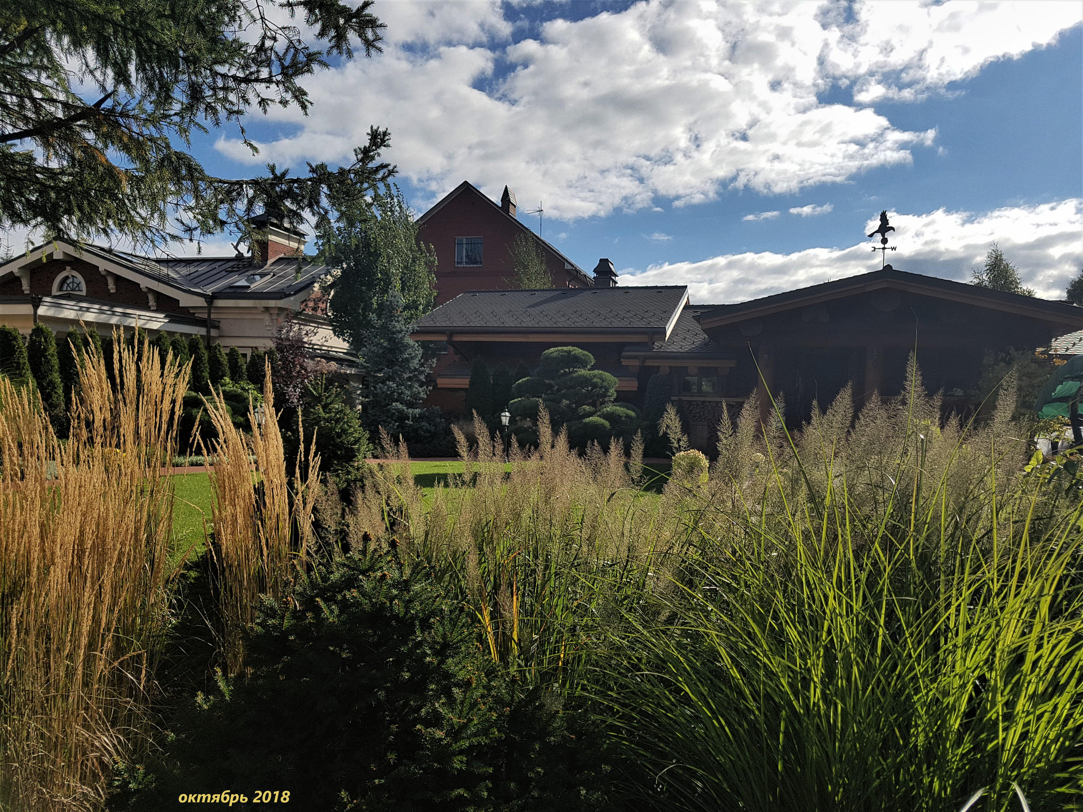 Сад с аурой