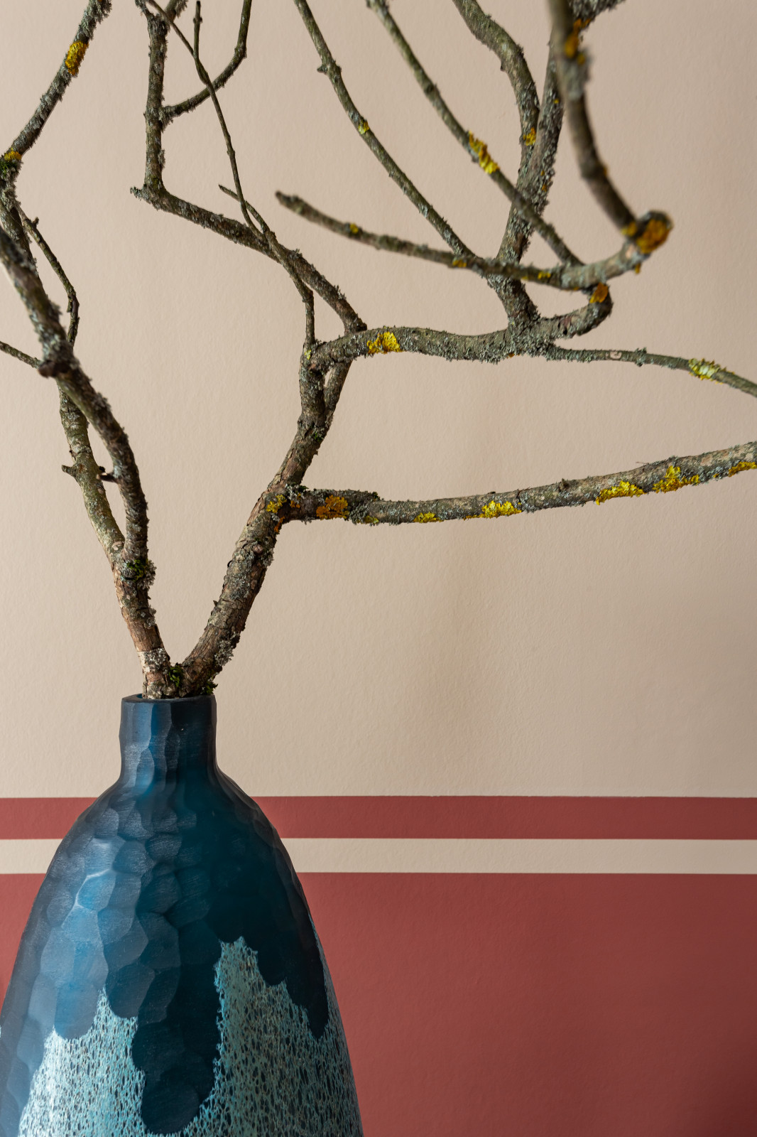 Проект Анны Козловой