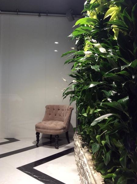 Фитомодуль загородный дом