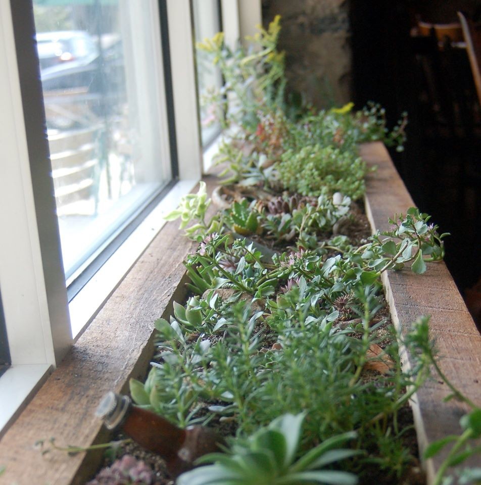 Цветы на подоконнике: 12 идей, как расставить их по правилам декора