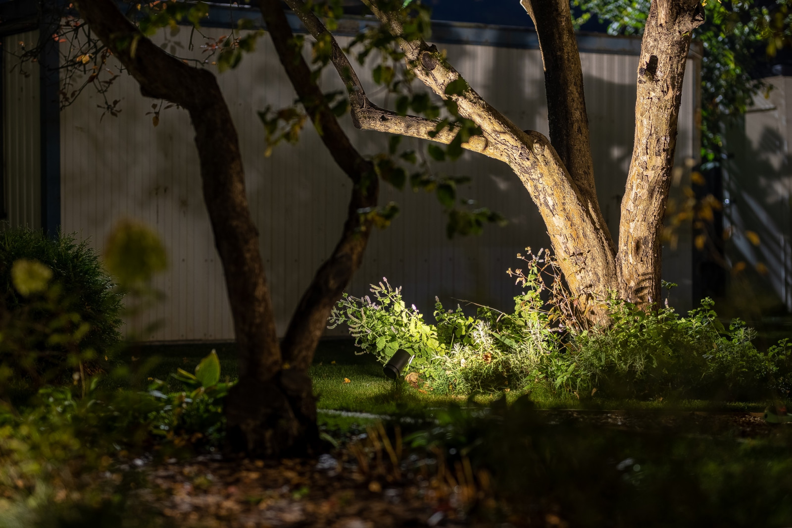 Ландшафтное освещение участка по Киевскому ш.