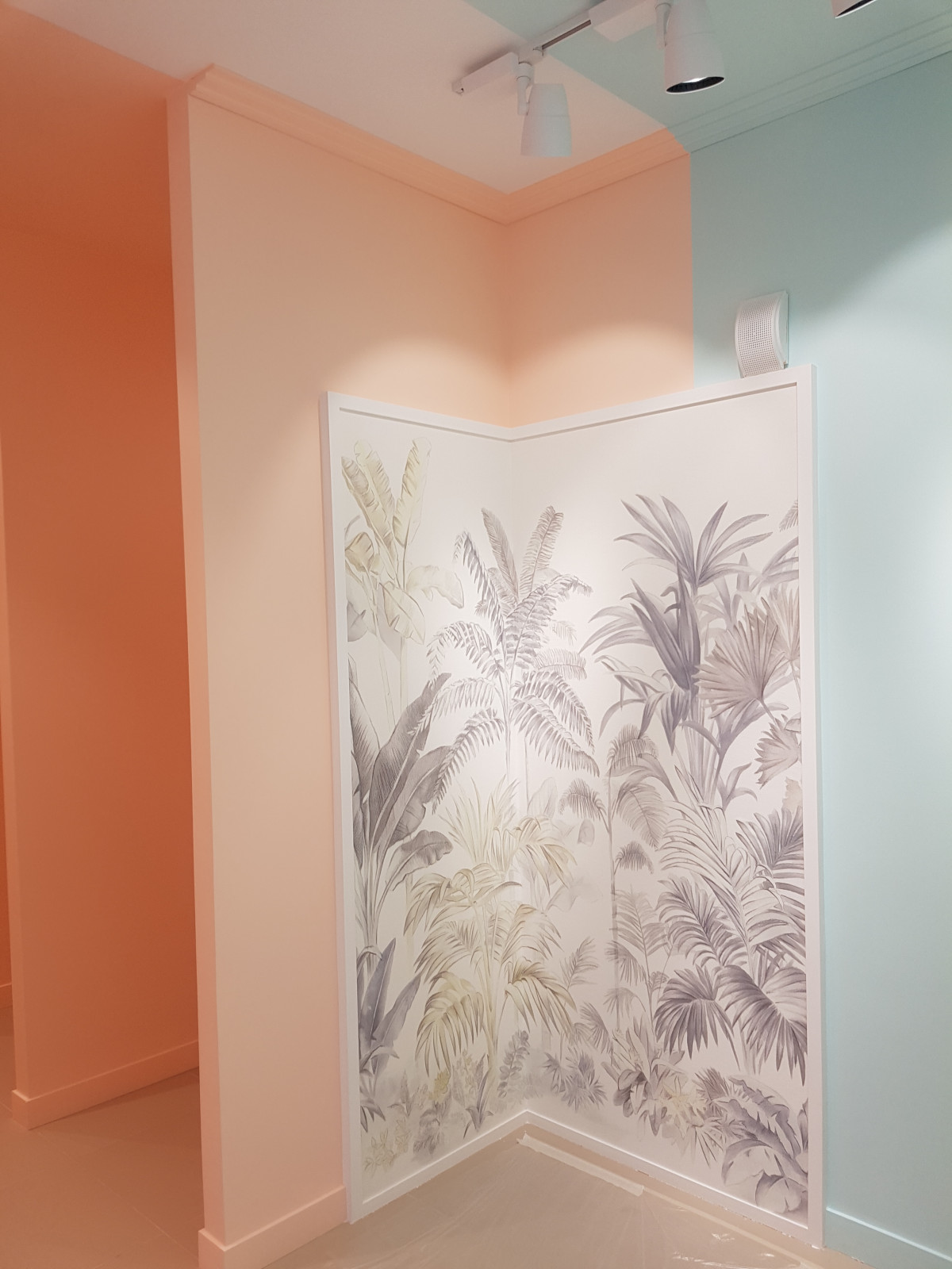 Обложка проекта: Moly Шоурум