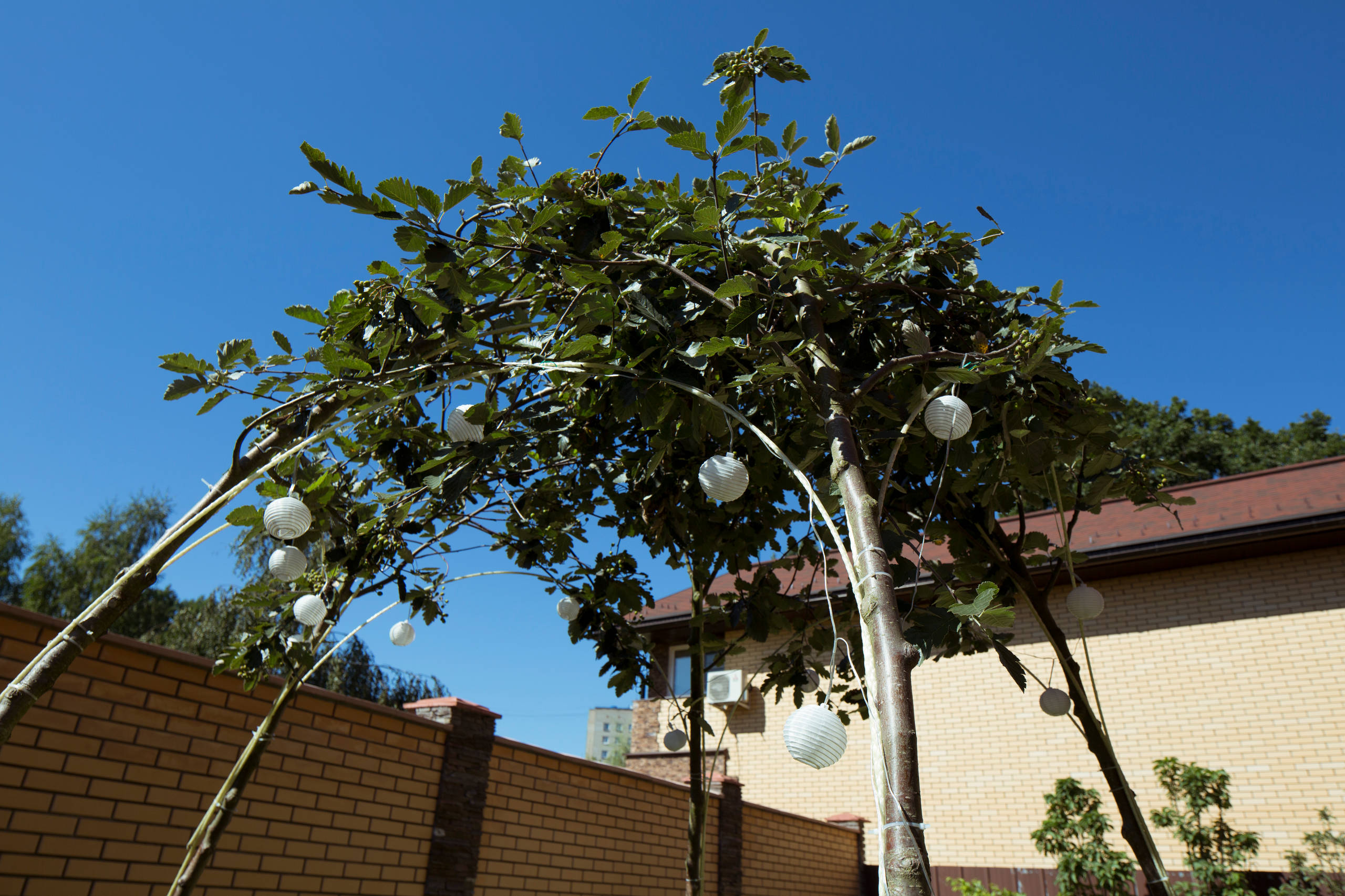 В гостях: Компактный сад, где работает каждый сантиметр