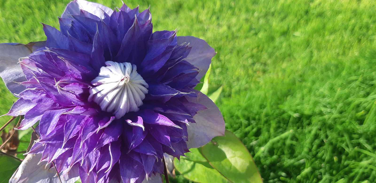 Работы выполнены в с.Южная Озереевка