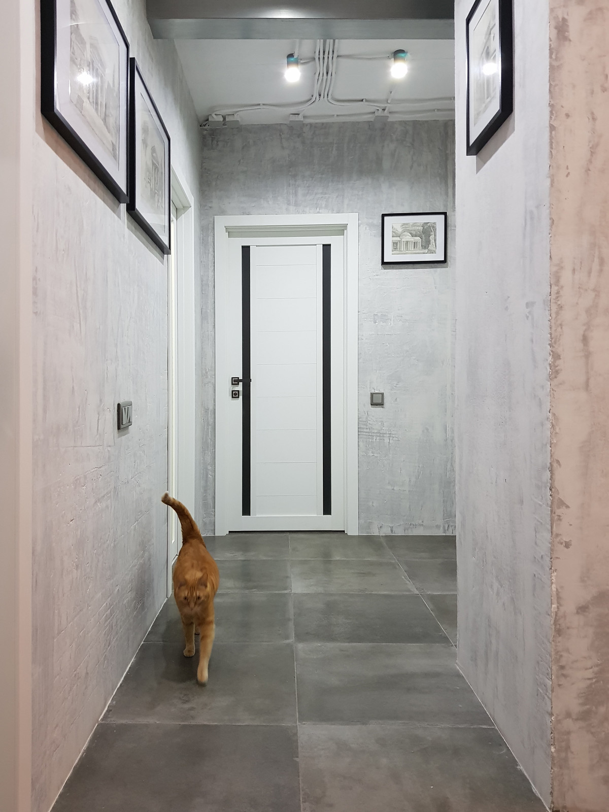 Обложка проекта: Дизайн холла в квартире