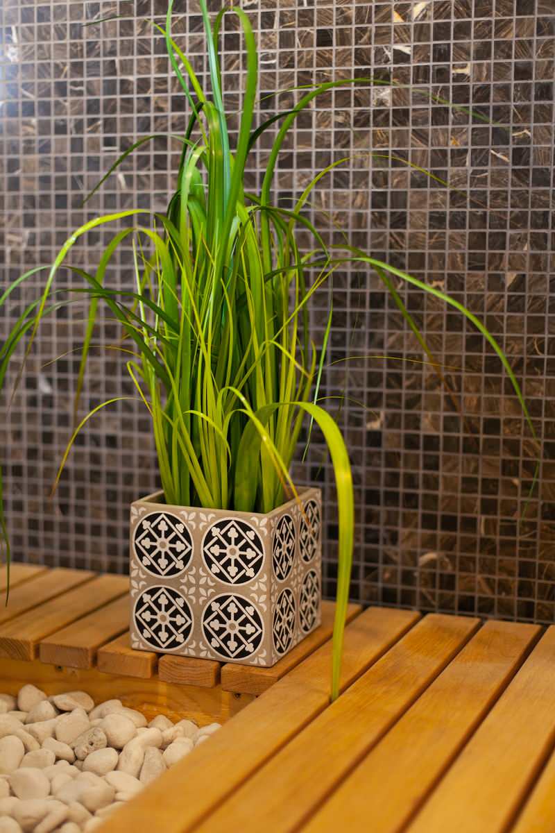 Дом в поселке Европа