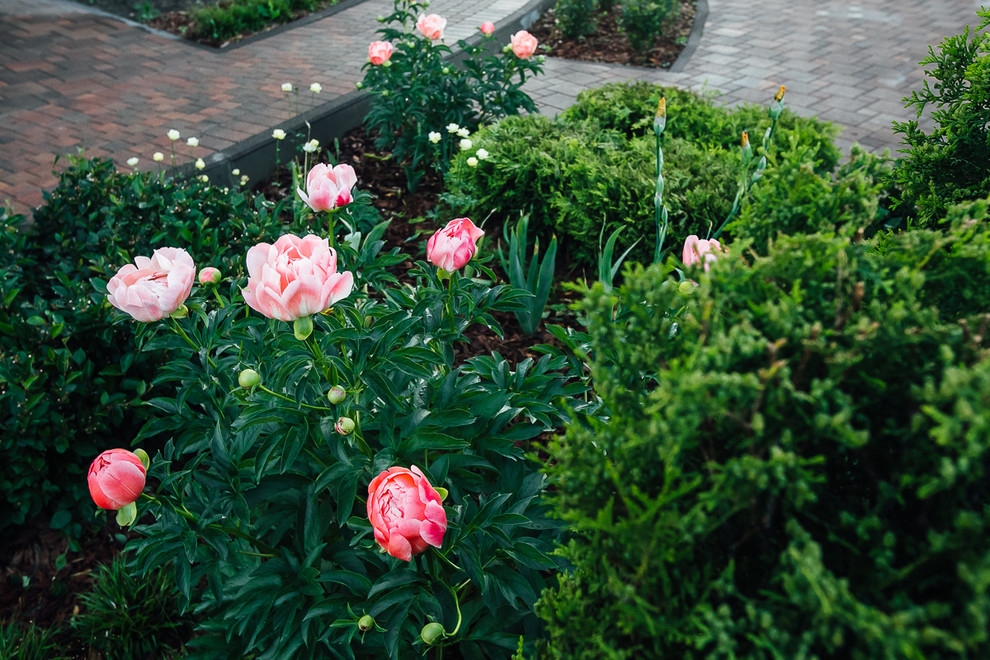 Обложка альбома: Лиана, Атышская