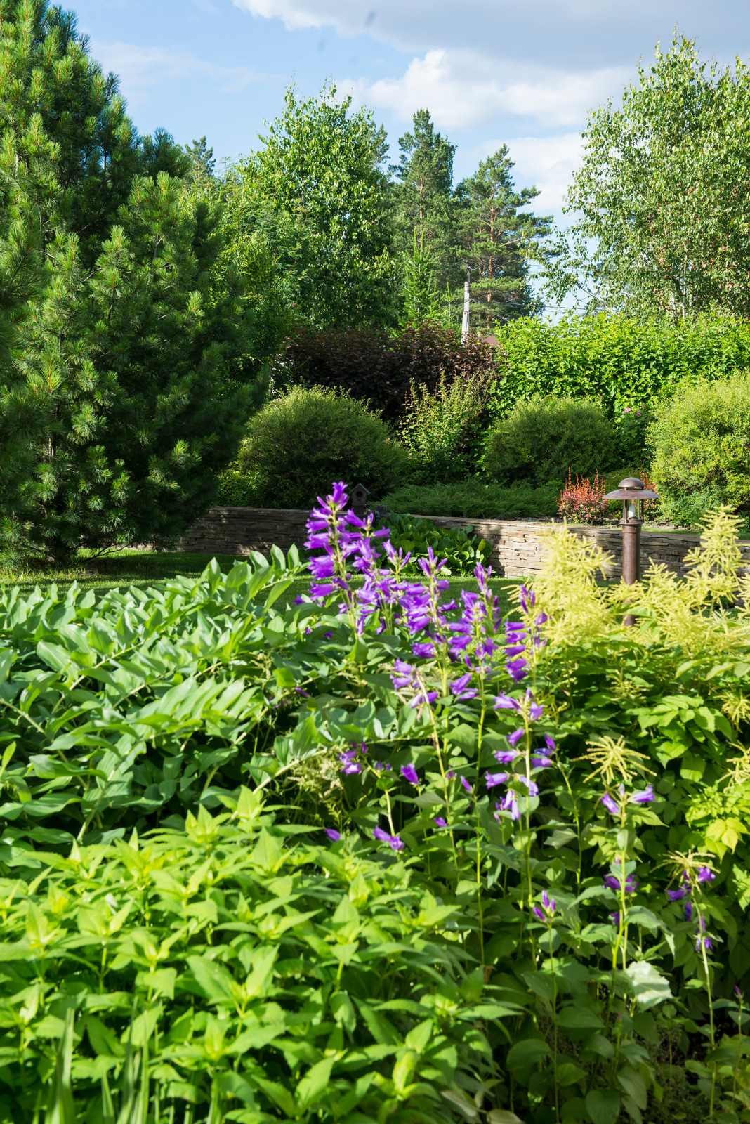 Маленький сад в пригороде