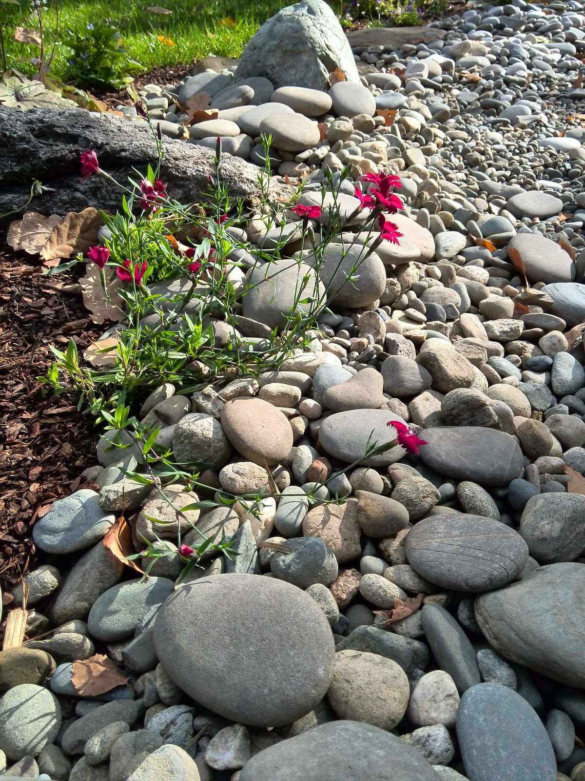 участок в Прохорово