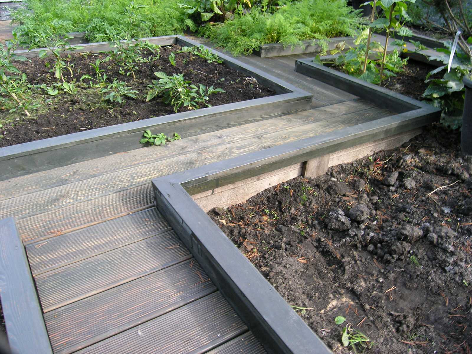 Как правильно: Сделать декоративный огород