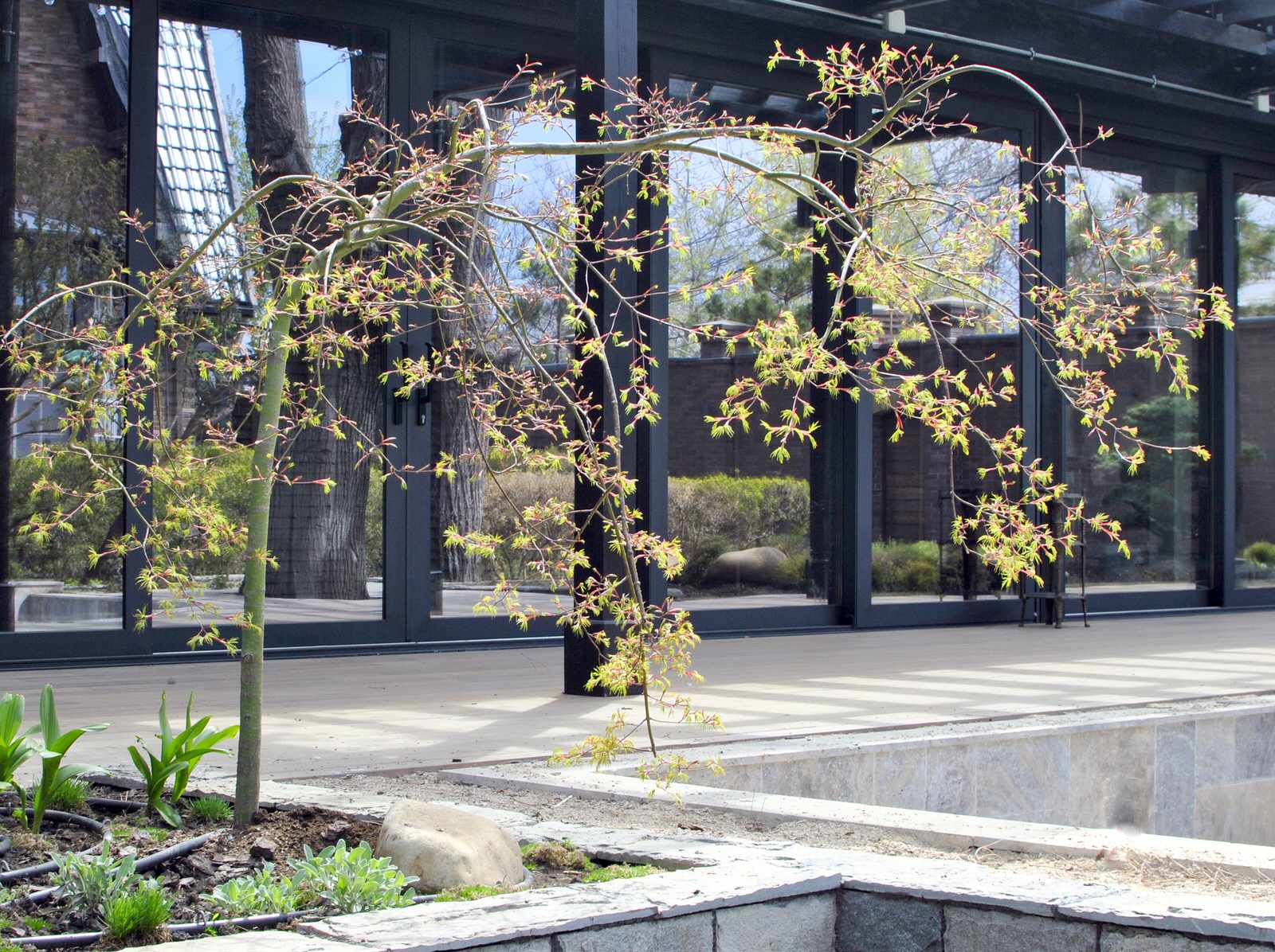 Сад с японскими интонациями.