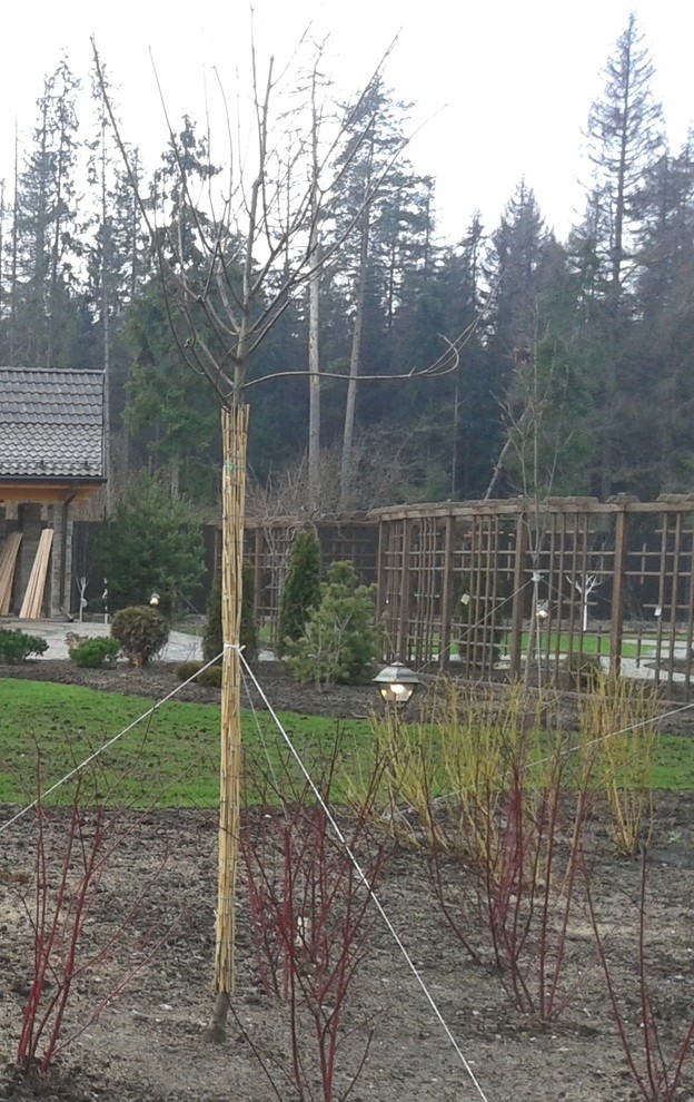 Готовимся к зиме: Последние приготовления в саду и в огороде