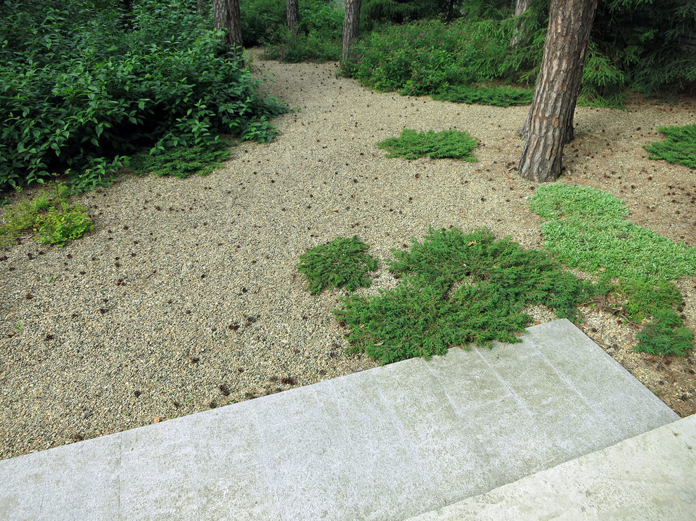 Лесные дорожки, явные и неявные