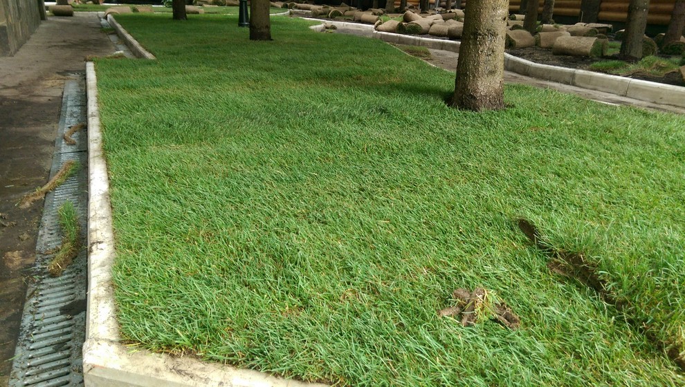 Укладка рулонного газона "под ключ"