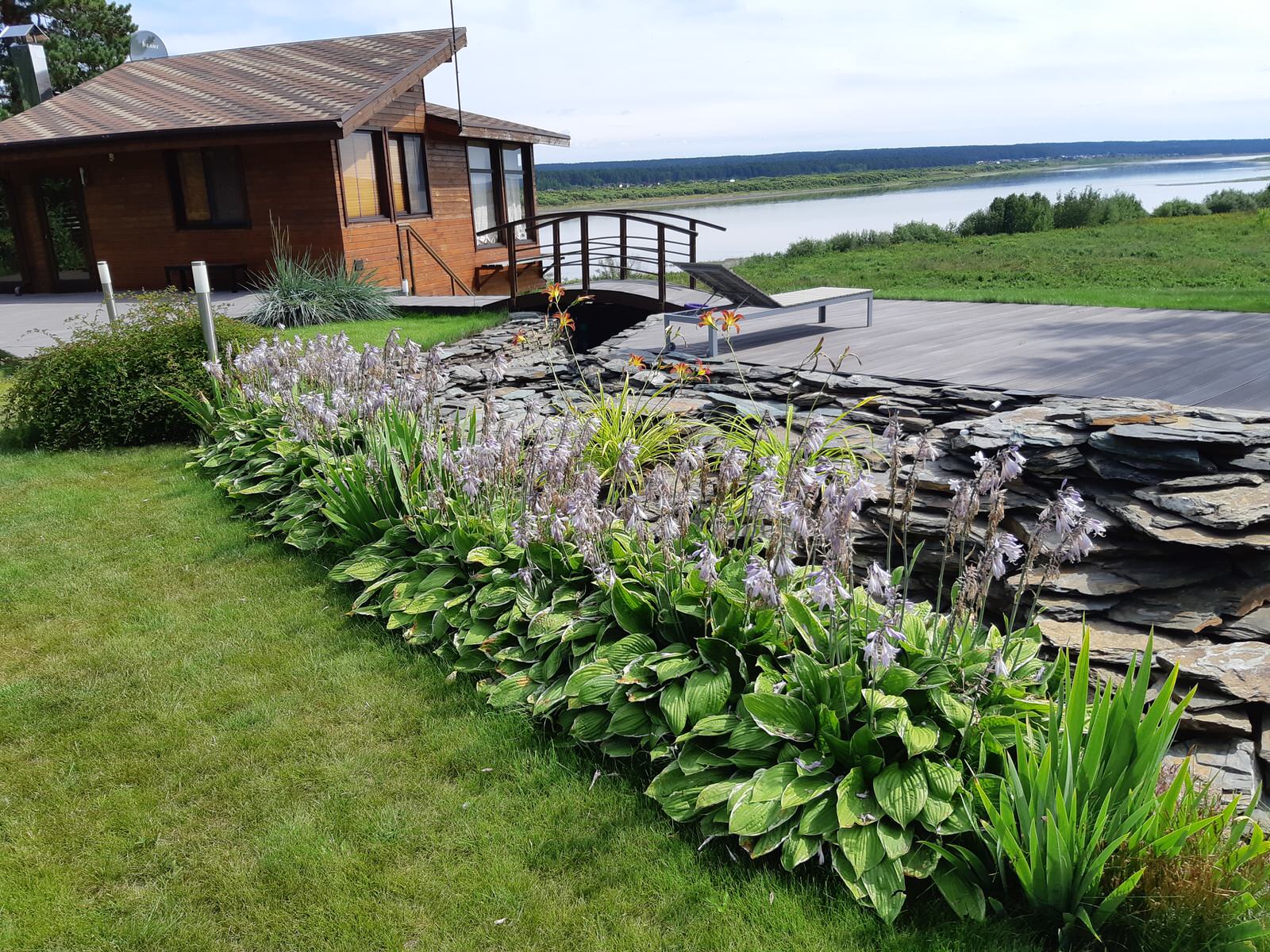 Обложка проекта: Медведково