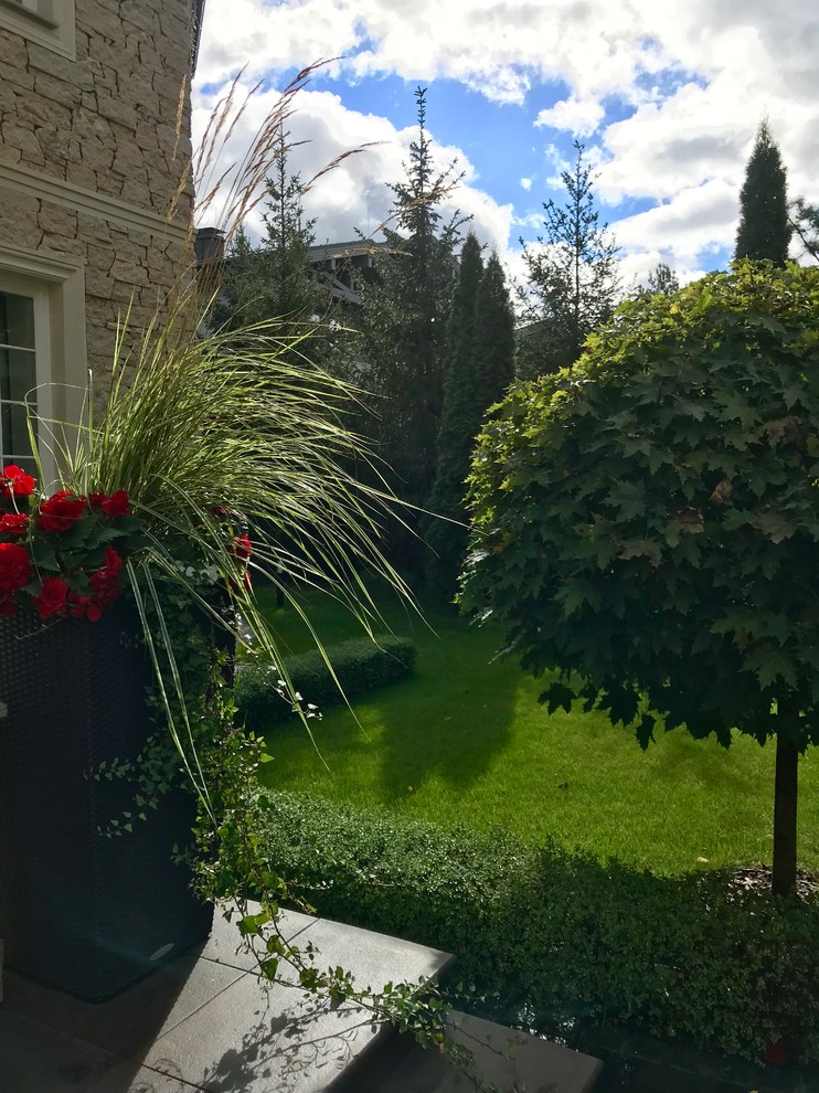 Зелёный лес