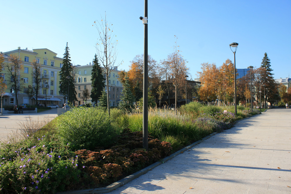 Цветники Советской площади