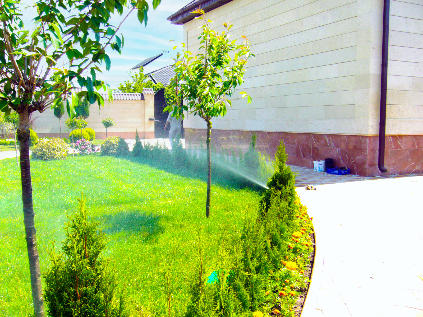 Ландшафтный дизайн в Сестрорецке