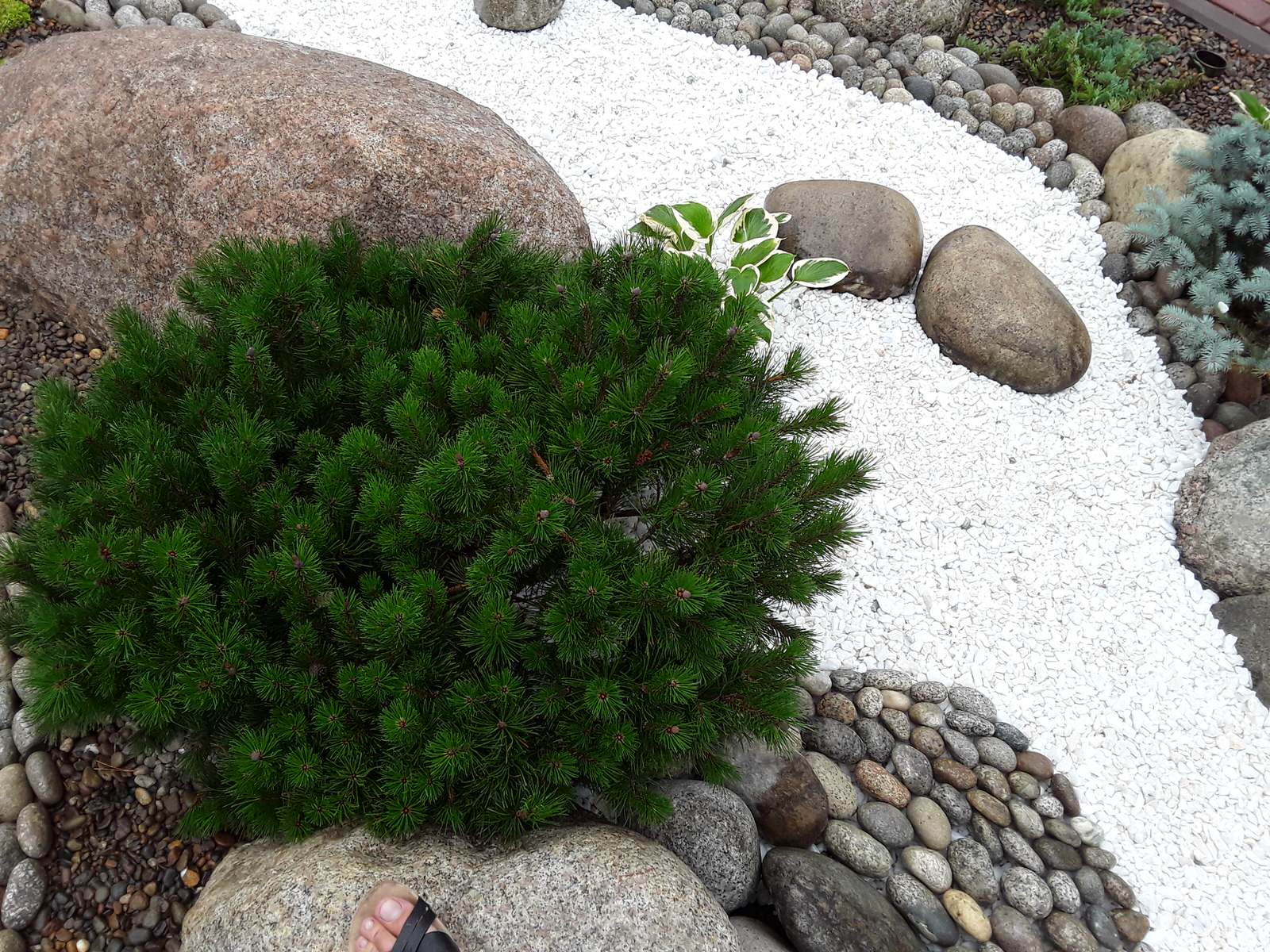 Сухой ручей