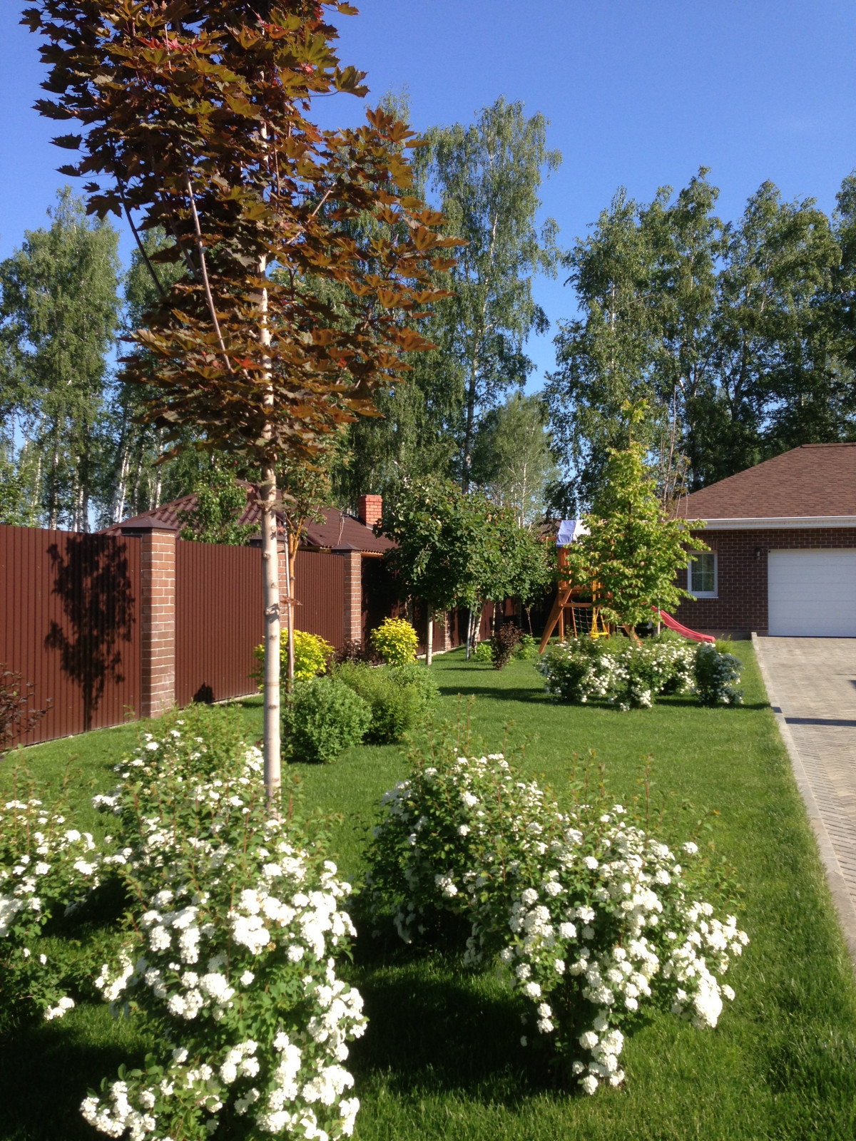 Вавиловец 1