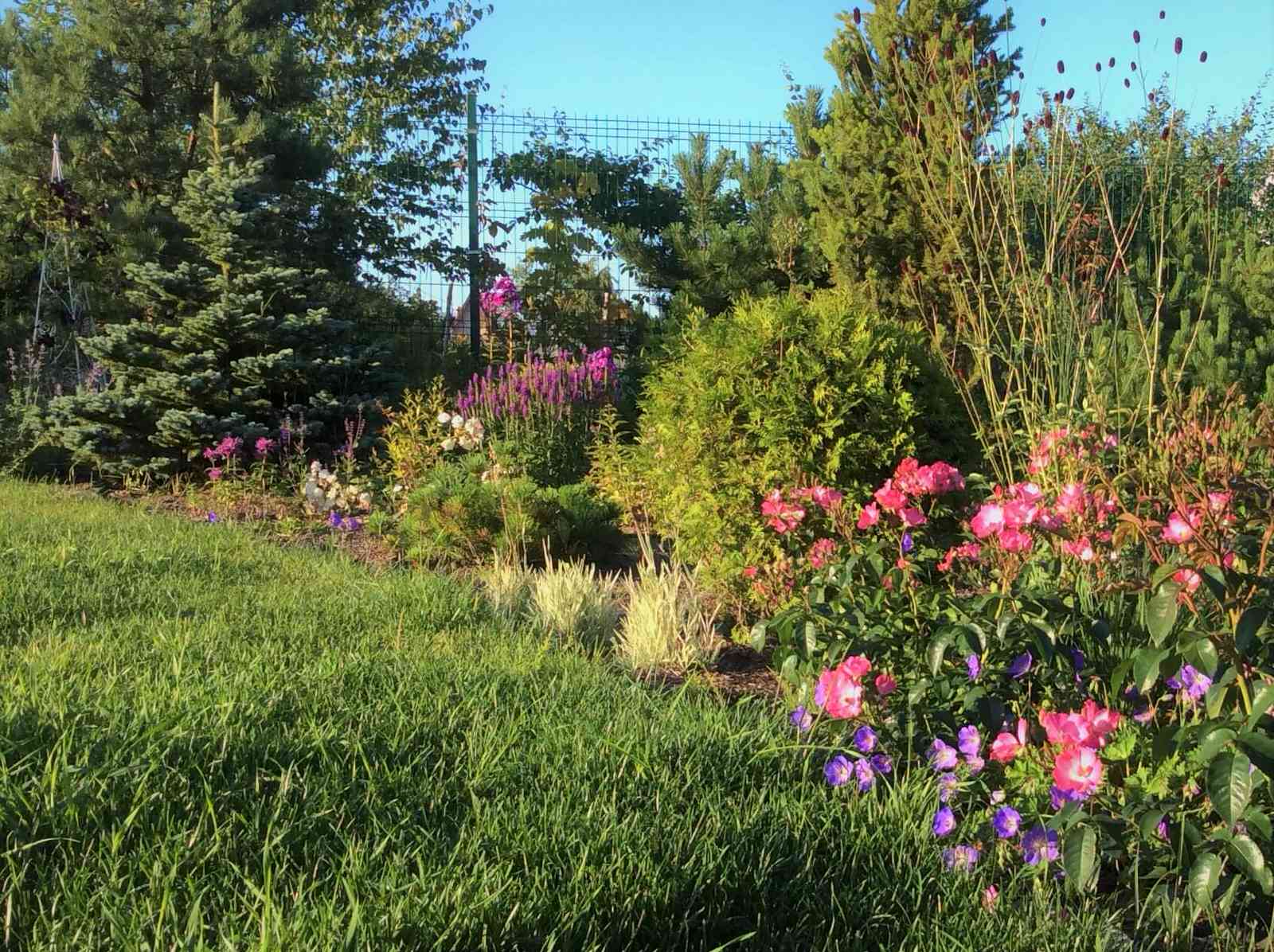 СНЫ О ЧЕМ_ТО БОЛЬШЕМ...