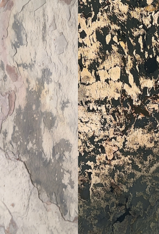 Обложка проекта: S. White T.