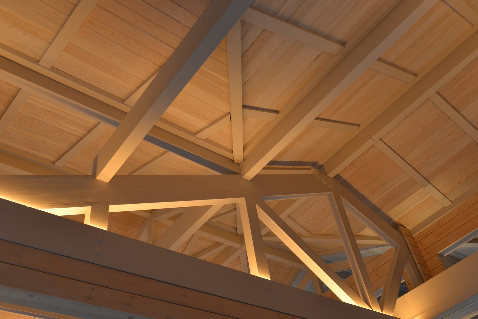 SPA комплекс из клееного бруса