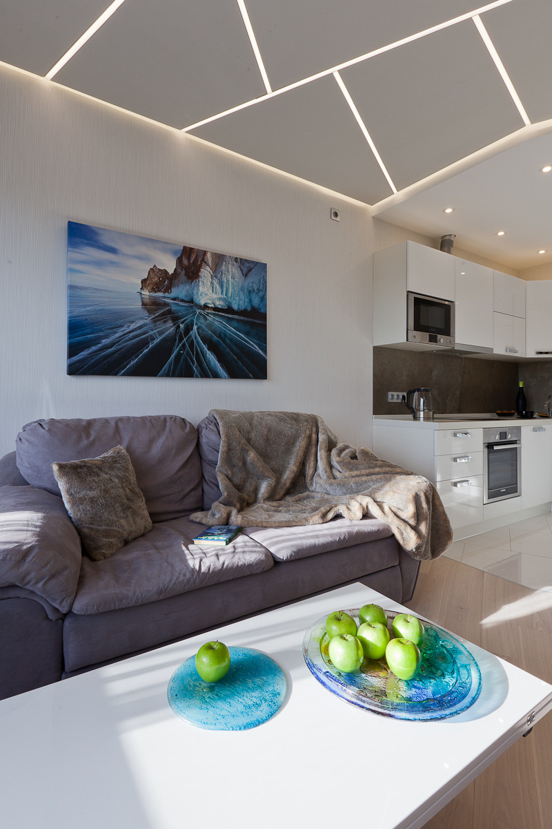 квартира "льдины"