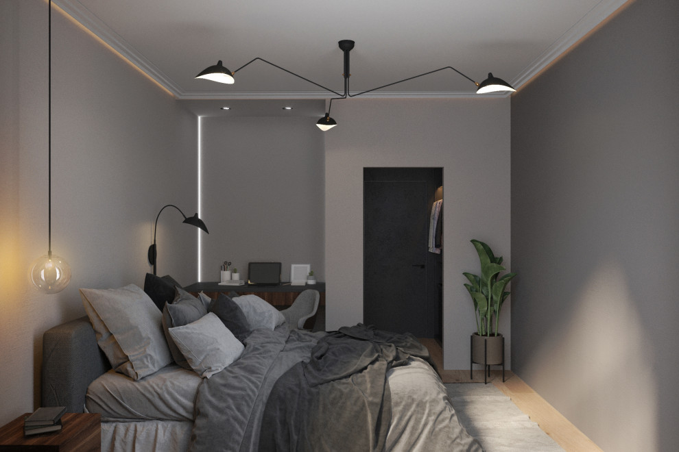 Однокомнатная монохромная квартира