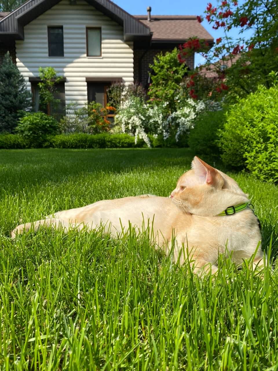 В гостях: Сад на 14 сотках, где живут круглый год