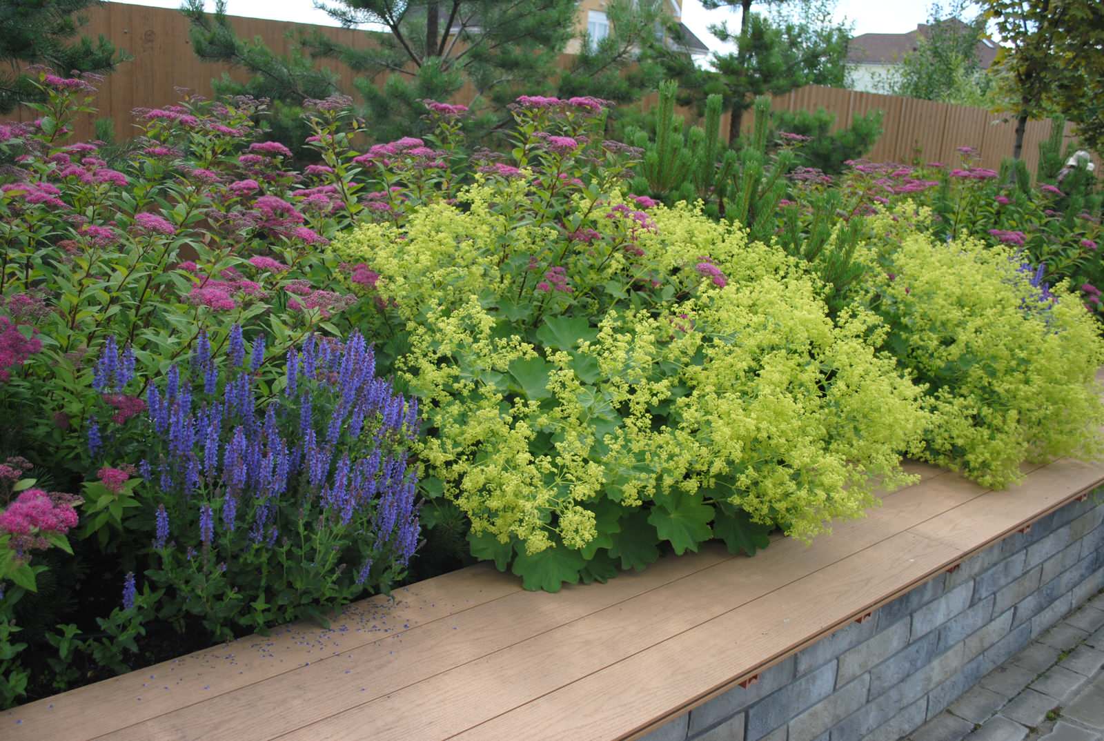 Дмитровское шоссе