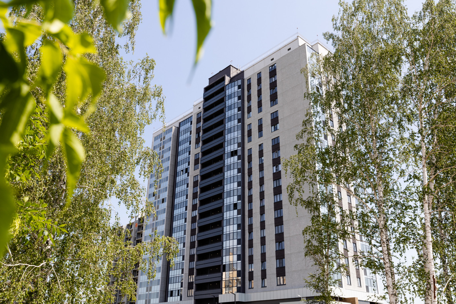 Обложка проекта: Базис (строительная компания)