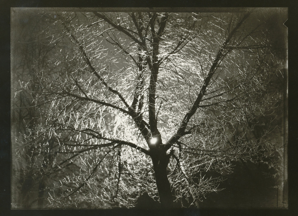 Авторские работы