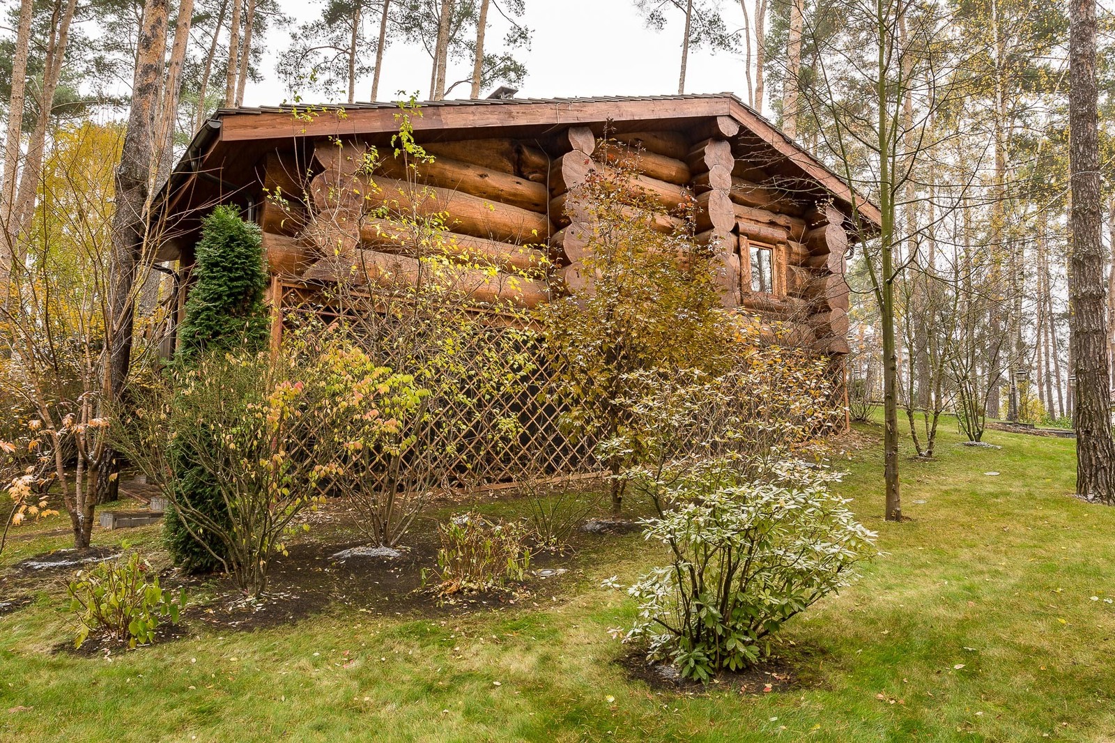 Баня из сруба