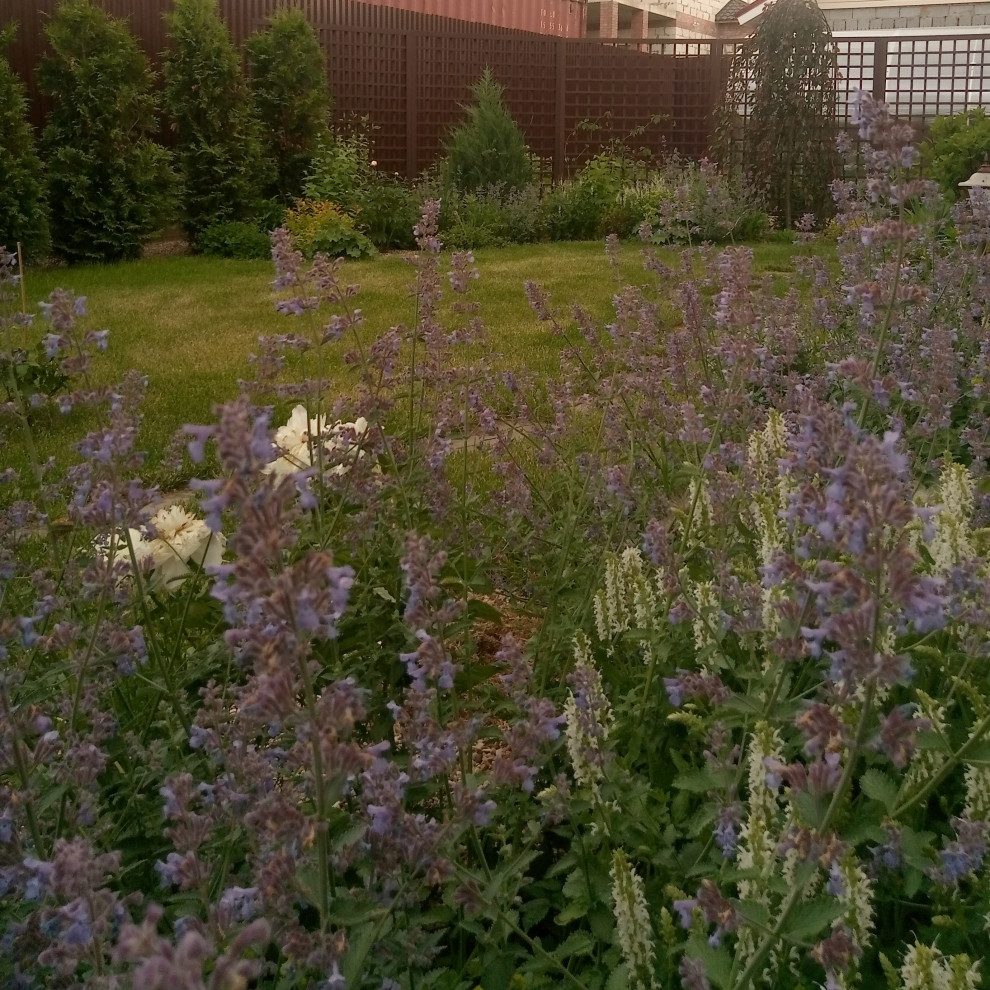 Зелёное удовольствие