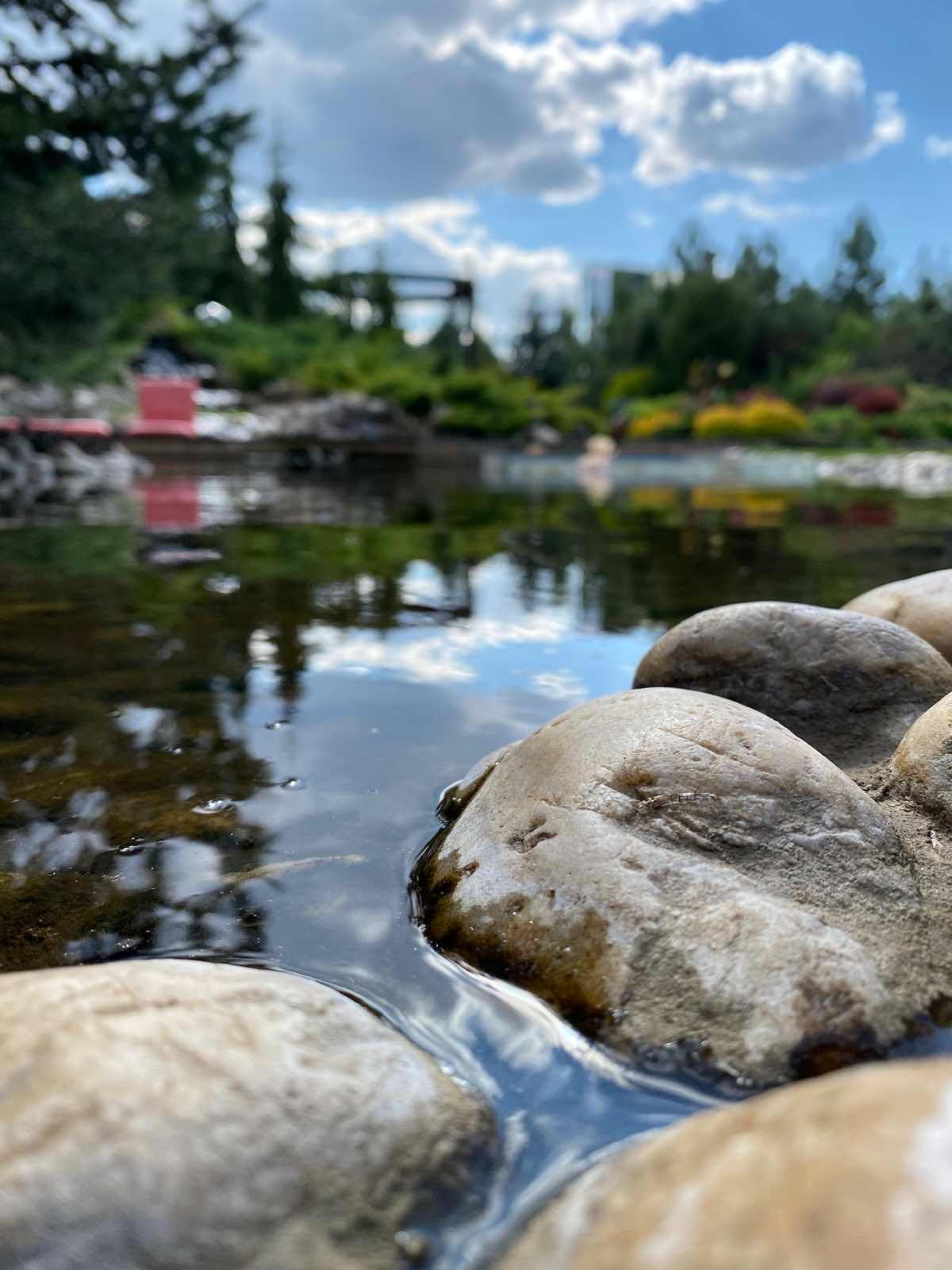 В гостях: Загадочный сад в Херсоне на 12 сотках