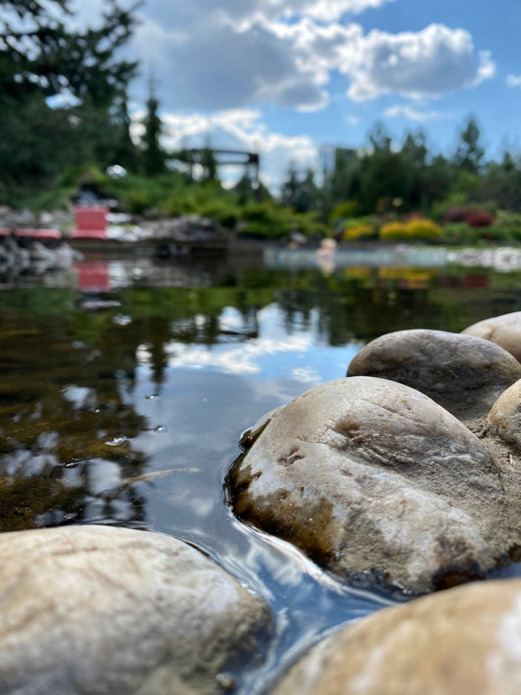 В гостях: Загадочный сад в Херсоне на 12 сотках