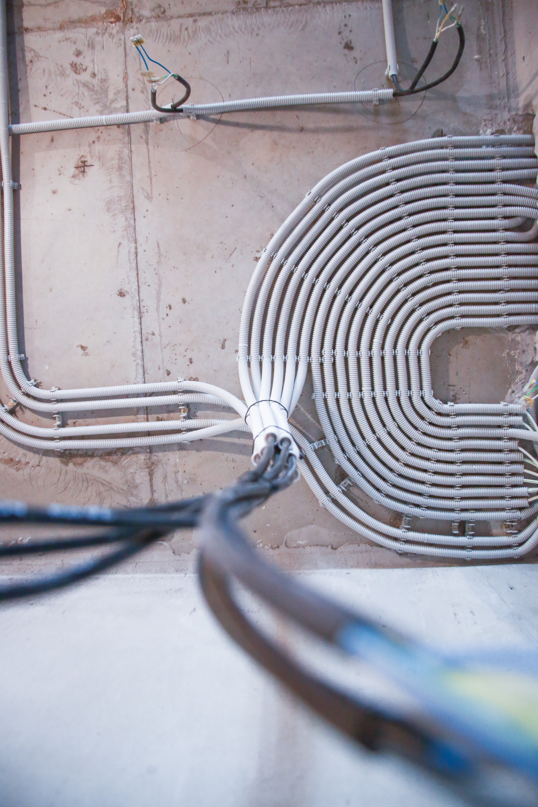 Владислав Волков