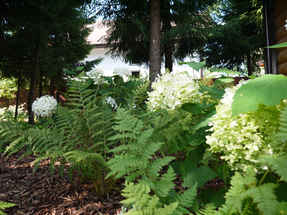 Белоостров