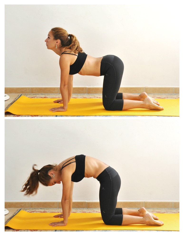 Как правильно заниматься йогой дома – пособие для начинающих