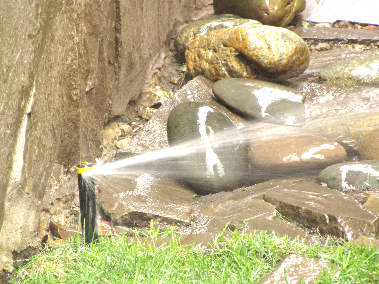 Обустройство участка в Приморском районе, Санкт-Петербурга