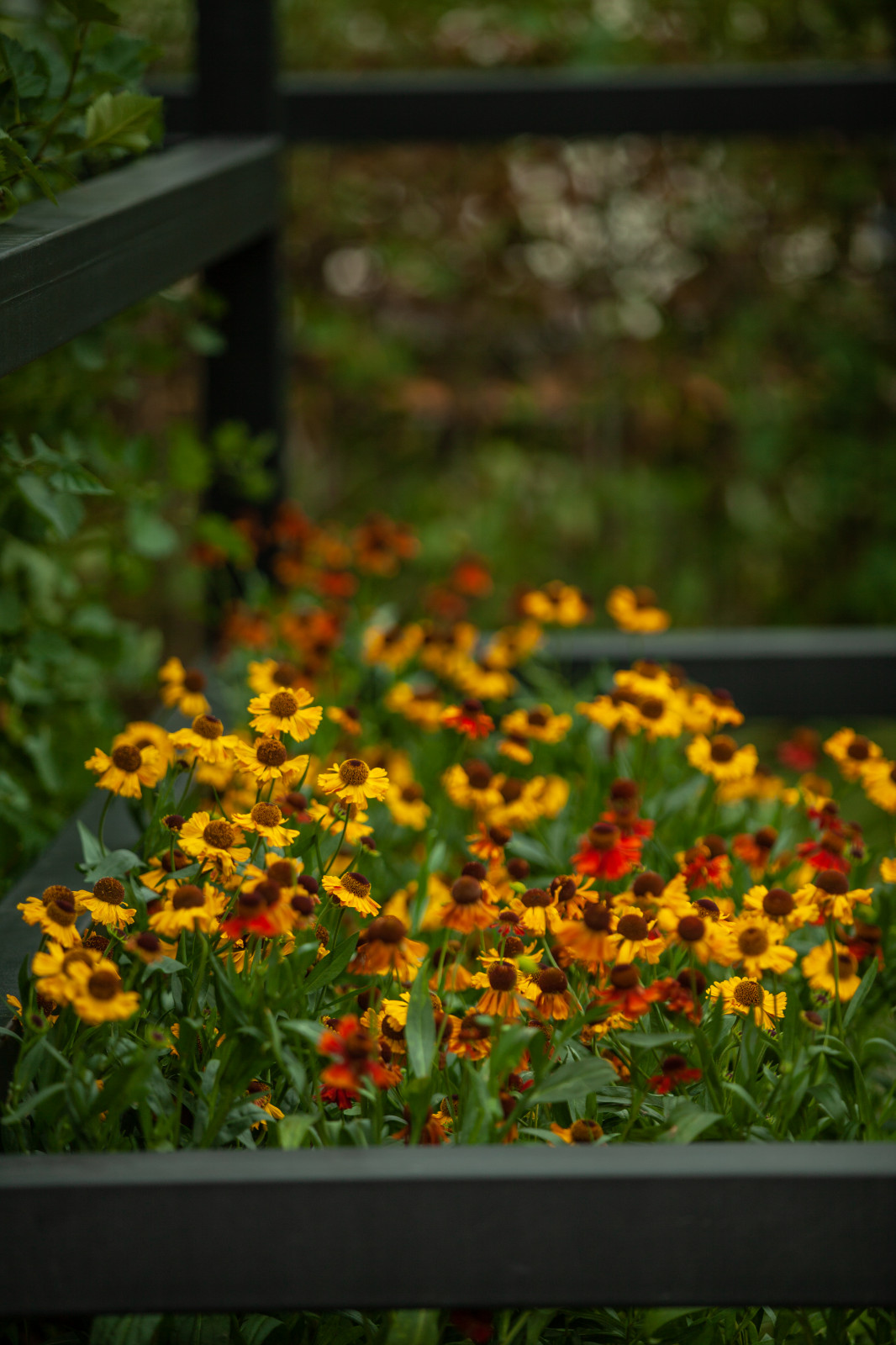 Архитектура природы